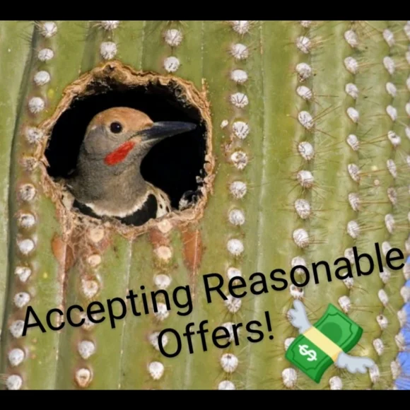 CURRENT/ELLIOT HEATHER GRAY SOFT BLUE & RED GRAPHIC TANK TOP - Picture 7 of 7